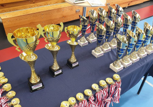 Olimpiada Smyka
