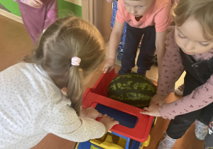 Dzieci przewożą arbuza w ciężarówce zabawkowej
