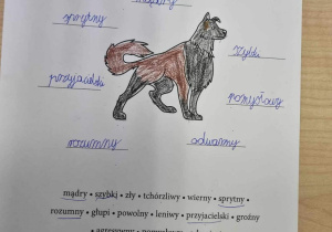 Karta pracy – Jaki był Lampo?