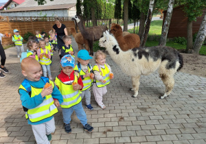 Dzieci z uśmiechem na twarzy idą zwiedzać mini zoo i nakarmić zwierzęta.