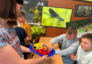 Pedagog specjalny rozdaje owoce uczniom.