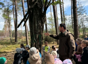 Dzieci dotykają kory drzewa, poznając jego strukturę i ucząc się poprzez bezpośredni kontakt z przyrodą.