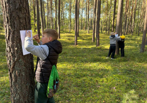 Chłopcy kalkują korę drzewa.