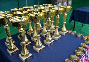 puchary i medale dla uczestników