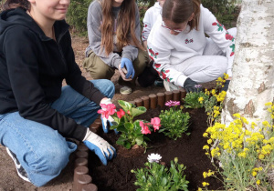 17.Zdjęcie ukazuje grupę nastoletnich dziewcząt, które sadzą kwiaty wokół brzozy na szkolnym podwórku.