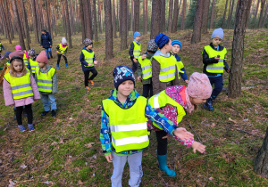 Przedszkolaki szukają grzybów w lesie