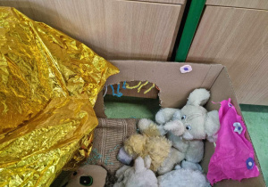 Pieski – zabawki – w legowiskach wykonanych przez dzieci.