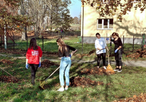 pięciu uczniów wspólnie sprząta i grabi liście