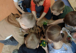 Dzieci sadzą kwiatki w doniczkach.