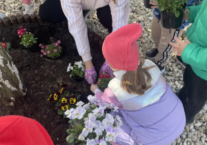 Rozmowa dzieci z Panią Kasia na temat sadzenia wiosennych kwiatów.