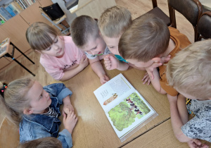 Przedszkolaki samodzielnie czytają i oglądają książkę.