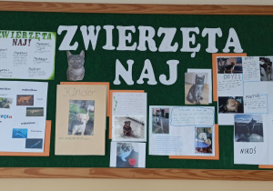 Na zdjęciu widzimy prace uczniów klas piątych wykonane w ramach projektu ,,Zwierzęta Naj!”