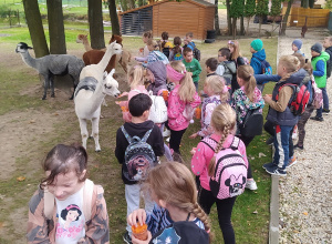 Dzień Chłopaka w Mini ZOO