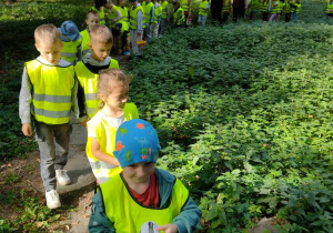 Grupa Krasnale i Misie spacerują do parku.