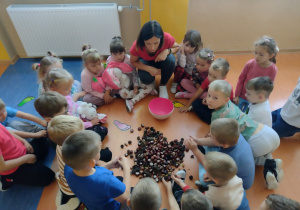 Dzieci siedzą w kole a w środku rozsypane kasztany i inne skarby jesieni.