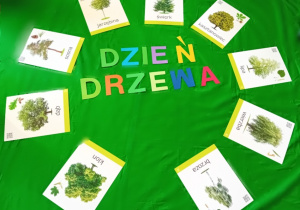 Dzień Drzewa – napis i plansze drzew.