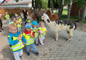 Dzieci z uśmiechem na twarzy idą zwiedzać mini zoo i nakarmić zwierzęta.