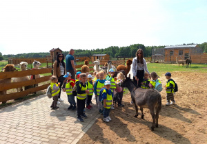 Dzieci z grupy Pszczółki wśród zwierząt w mini zoo.