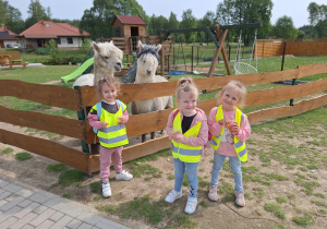 Dzieci z uśmiechem na twarzy na tle z alpakami.