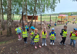 Przedszkolaki podczas spaceru w mini zoo spotkały m.in. daniele i jelenie.