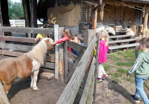 Spotkanie z kucykiem.