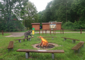 Pan leśniczy rozpala ognisko.