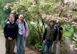 Uczennice spacerują ścieżkami arboretum za nimi wysokie drzewa.