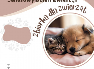 Plakat - 4 października Światowy Dzień Zwierząt
