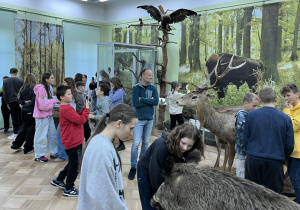 Wystawa przyrodnicza, gdzie uczniowie oglądają faunę naszego regionu. Ekspozycja ukazuje owady, ryby, płazy, gady, ptaki, ssaki w naturalnych siedliskach.