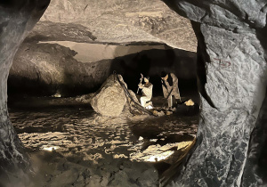 Ekspozycja historyczna – wystawa przedstawia historię wydobycia piasku, które trwało od XVIII do XX wieku, wykorzystywano je np. do produkcji szkła. Specjalne oświetlenie podkreśla formacje skalne, tworząc ciekawą przestrzeń wizualną.