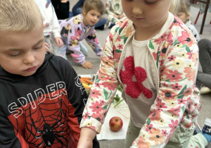 Chłopiec i dziewczynka z grupy Żabki zakładają gazę na słoiki z syropem malinowym i cebulowym.