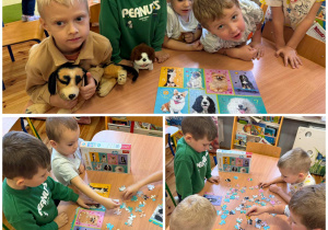 Chłopcy z grupy Promyczki układają puzzle z pieskami w Dniu Kudelka - praca w małych grupach.