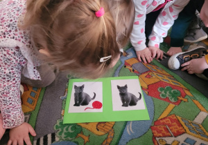 Dzieci wyszukiwały i wskazywały różnice na obrazkach.