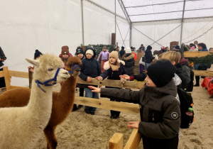 Z wizytą w Mikołajowym Zoo.