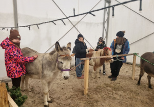 Dzieci czeszą zwierzęta.