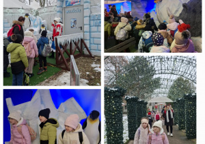 Zwiedzanie wystawy "Świat lodu".