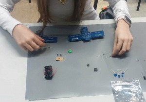 Uczennica segreguje elementy.