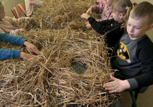 Dzieci z grupy Żabki podczas zajęć ze słomą z której powstała Marzanna.