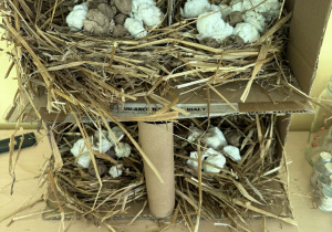 Grzęda z jajkami zrobiona z tektury, słomy.